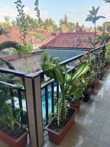 Grace Paradise Guest House Lembongan Extérieur photo